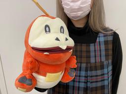 呆火鱷 寶可夢 拉鍊 船形錢包 小包 合成皮 日本正版 歷史價格詳細信息