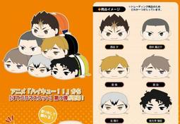 [苗栗_HamMaToys]4月預購-大尺寸40公分玩偶 MyGO!!!!! 千早愛音_結單日11/24 歷史價格詳細信息