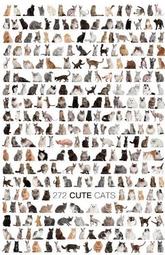 【巷子內】272種貓 1000-001【1000片夜光拼圖】 特賣中 價格比較,價格查詢,歷史價格詳細信息