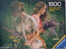 【陽光小賣場】台灣好拼~法國進口500片NATHAN賽馬拼圖 歷史價格詳細信息