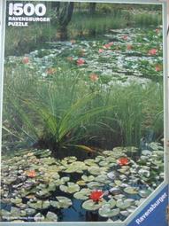 拼圖 全新未拆 1000片 51*73.5CM 海賊王 航海王 one piece 娜美 歷史價格詳細信息