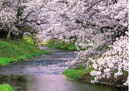 M-520 HD數位調變器 WINERSAT模組式調變器全頻可調頻道 有線電視調諧器 數位電視 模組式調變器可鄰頻使用 歷史價格詳細信息