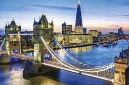 【巷子內】1000-009 野狼插畫  1000片夜光拼圖 歷史價格詳細信息