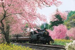 1000片拜訪春天塑膠拼圖防水防潮益智兒童成年uv列印制定 歷史價格詳細信息