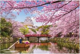 【巷子內】姬路城 1000-015 1000片夜光拼圖 價格比較,價格查詢,歷史價格詳細信息