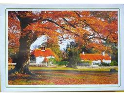 拼圖 A-1174 1000片 (75X50cm) 歷史價格詳細信息