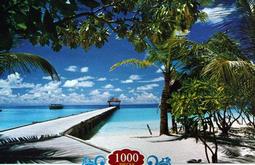 拼圖 A-1301 1000片 (75X50cm) 歷史價格詳細信息