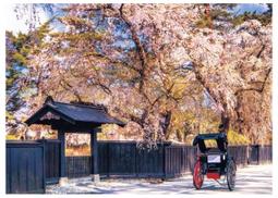 【巷子內】？？？？？？？？風  台製夜光 拼圖 【1000片夜光拼圖】 ~特賣中 歷史價格詳細信息