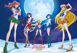 【巷子內】美少女戰士Crystal (水手戰士大集合款)拼圖1000片-161 歷史價格詳細信息