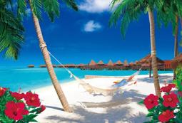 海洋風景桌上擺件 鐵達尼號 桑尼號 黃金梅利號 魯夫的海賊船 家居飾品 臥室柔光  桌面擺件 小夜 歷史價格詳細信息