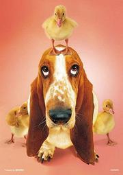 日本進口拼圖 ADIDAS 愛迪達 1978年版 世界足球杯設計款 60片3D立體塑膠球型絕版拼圖．2003-259 歷史價格詳細信息