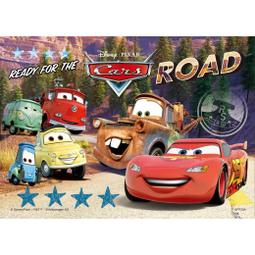 【巷子內】Cars 閃電麥坤【典藏海報系列】汽車總動員拼圖520片-HPD0520-165 520片拼圖 歷史價格詳細信息