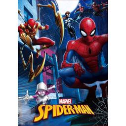 520片裝牛津布方型拉鏈款黑色光碟收納包(有提把) 2入/組 歷史價格詳細信息