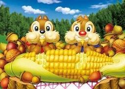 日本進口拼圖 迪士尼 奇奇 蒂蒂 Chip 'n' Dale 色彩繽紛糖果 99片拼圖，99-453 歷史價格詳細信息