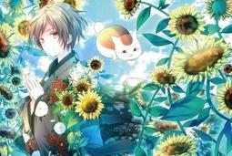 夏目友人帳1000拼圖成人減壓兒童益智卡通男女孩裝飾畫禮物玩具 歷史價格詳細信息