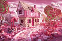 《拼圖家》木質拼圖1000片-貓與魚橫版 歷史價格詳細信息