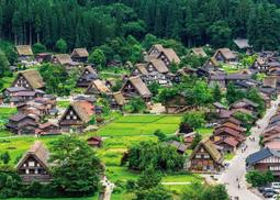 拼圖專賣店 拼圖 520片拼圖 兔子 小紅狐 錦龍 鯨魚 系列拼圖 520J-055~520J-62 歷史價格詳細信息