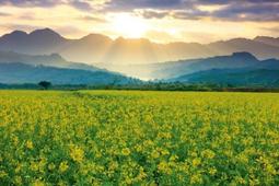 拼圖海報專賣店-拼圖: D108-767(108片迪士尼-夜光拼圖-美女與野獸) 歷史價格詳細信息