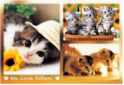 079(保證真跡)國際藝術家 何唐宇天(何大忠)-水墨-山水情懷(BB-15)未裱約62x66公分 歷史價格詳細信息