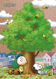 Snoopy 史努比 下雪森林兩用面紙套(1入)【小三美日】D100790 歷史價格詳細信息