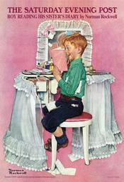 300洛克兄弟腳踏車包前梁包上管包山車包手機包防水馬鞍包騎行裝備車迷辰 歷史價格詳細信息