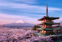 《拼圖家》木質拼圖1000片-招財貓 歷史價格詳細信息