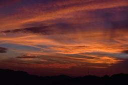 ★繁星★Davis Yao★高端木質拼圖 300/500/1000/1500片 訂做 訂製 客製化印刷 送禮 A01 歷史價格詳細信息