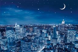 ★繁星★促銷區★ 城市天際線 高端木質拼圖 1000片 拼圖 木質拼圖 訂做 訂製 客製化印刷 送禮 收藏 特價 歷史價格詳細信息