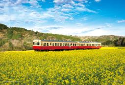 日本進口拼圖 風景 台灣 九份夜景 600片拼圖 66-120 歷史價格詳細信息