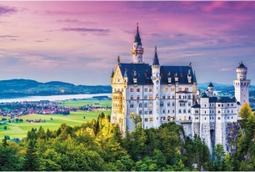 天鵝堡 雲中霧 1000片夜光拼圖 歷史價格詳細信息