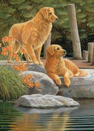 52745-0896 527450896 0527450896 molex原裝連接器 2個一拍  [176138-033] 歷史價格詳細信息