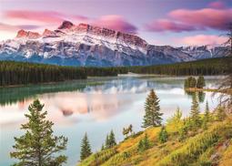 缺 歐洲進口拼圖 PIA 名畫  人物  Klimt 克林姆 吻 1000片金屬光澤拼圖 557545 歷史價格詳細信息