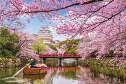 櫻姬lolita原創設計小殭屍洛麗塔正版JSK日常輕lo裙連衣裙大全套 歷史價格詳細信息