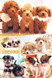 臺灣製1000片優質夜光拼圖 - 名車系列 1000-013i 歷史價格詳細信息