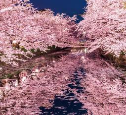 日本風情圖系列明信片赤富士山富嶽三十六景神奈川沖浪裏北齋 歷史價格詳細信息