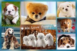 HC - 夜光拼圖1000片(臺灣製)  看見台灣系列 台灣景點馬賽克 1000-001N 歷史價格詳細信息