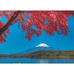 P2 - 25-025 520片拼圖 富士山(山中湖) 楓樹 (台灣製) 價格比較,價格查詢,歷史價格詳細信息