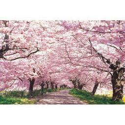 夜光2䨻beng籃球鞋韋德全城9新款男鞋輕便減震運動鞋體育實戰球鞋 歷史價格詳細信息