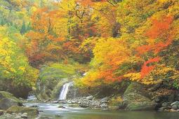 臺灣製1000片優質夜光拼圖 - 名車系列 1000-013i 歷史價格詳細信息