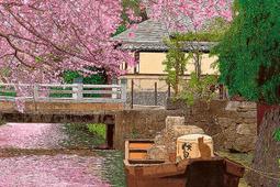 P2 - 台灣製1000片夜光拼圖-名畫系列-慕夏-四季 FOUR SEASONS K01-007 歷史價格詳細信息