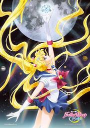 【巷子內】美少女戰士Crystal (水手戰士大集合款)拼圖1000片-161 歷史價格詳細信息