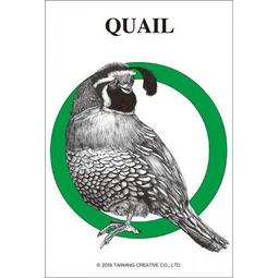 台旺文創 - TW-126-018 清郎世寧 仙萼長春－菊花 126片拼圖 歷史價格詳細信息