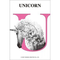 獨角獸文件拉鍊夾【佳瑪】彩虹小馬 可愛收納袋 夾鏈袋 防水收納袋 磨砂 霧面 透明收納袋 資料袋 拉環 文件夾 歷史價格詳細信息