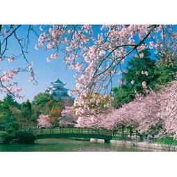 HM52-604 招財貓拼圖520片(台灣製) 歷史價格詳細信息