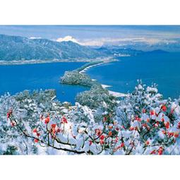 P2-HM52-597 下雪小鎮520片 價格比較,價格查詢,歷史價格詳細信息