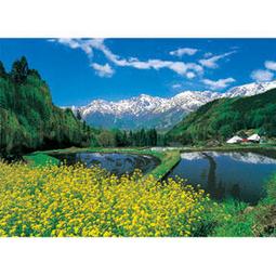 HM52-604 招財貓拼圖520片(台灣製) 歷史價格詳細信息