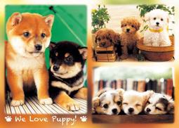 HC - 臺灣製520片優質動漫拼圖 - 犬夜叉系列 - 520J-044 歷史價格詳細信息