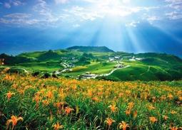 寶島風情畫 ~二手 歷史價格詳細信息