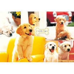 HM - HM1000-215 啤酒海報-該選哪一罐？1000片夜光拼圖(台灣製) 歷史價格詳細信息