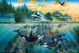 拼圖 日本進口拼圖 13-065S(1000片夜光變化拼圖名偵探柯南 月下的對手) 歷史價格詳細信息